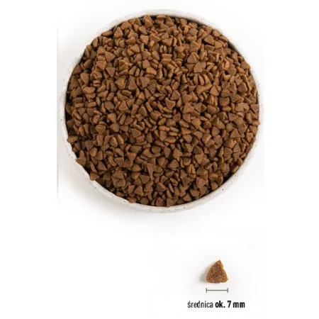 Acana First Feast Cat & Kitten 340g-2032451