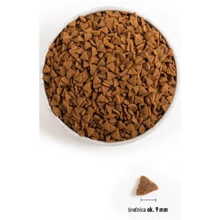 Acana Bountiful Catch Cat & Kitten 4,5kg-2032457