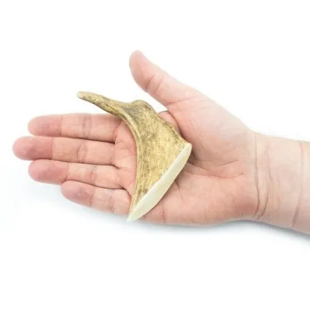 4DOGS Gryzak z poroża daniela S-2032677