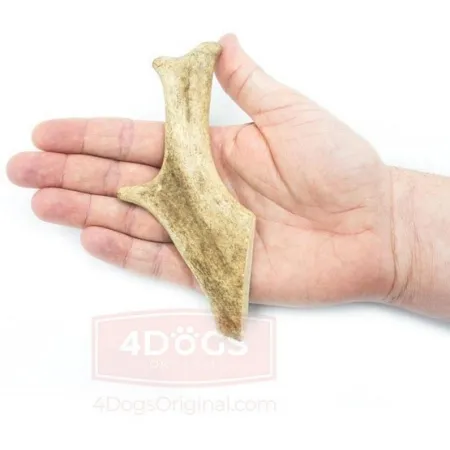 4DOGS Gryzak z poroża daniela M-2032681