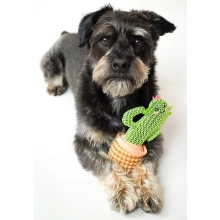 Dingo Zabawka dla psa - Kaktus Dolores 19cm-2032719