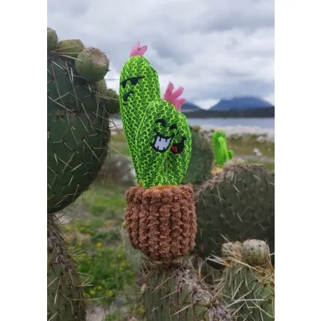 Dingo Zabawka dla psa - Kaktus Familia 20cm-2032724