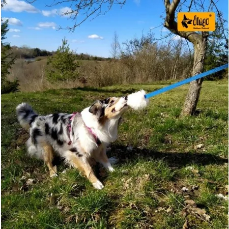 Dingo Zabawka dla psa - Szarpak Naturalne futro owcze z długą rączką niebieski-2032956