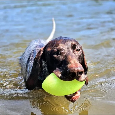 Dingo Zabawka dla psa - Piłka świecąca Play & Glow 14x8cm-2032967