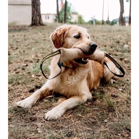 Dingo Zabawka dla psa - Szarpak z juty z dwoma uchwytami 28/4cm-2032972