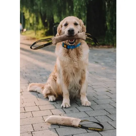 Dingo Zabawka dla psa - Szarpak z juty z uchwytem 60/8cm-2032980