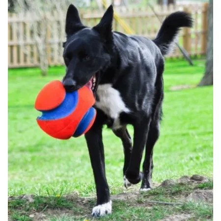 Chuckit! Kick Fetch Large [251201]-2033102