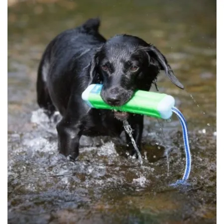 Chuckit! Amphibious Bumper Medium [18300]-2033107