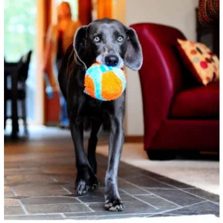 Chuckit! Indoor Ball [213201]-2033112