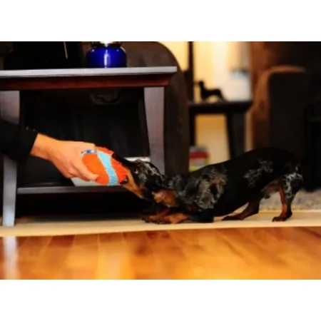 Chuckit! Indoor Ball [213201]-2033114