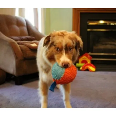 Chuckit! Indoor Ball [213201]-2033115