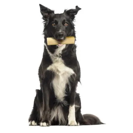 Zolux Przysmak serowa kość z sera himalajskiego M 57g [482311]-2033212