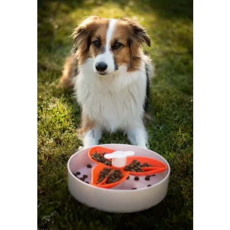 Spin Interaktywna miska Flower/Spin biało-pomarańczowa-2033289