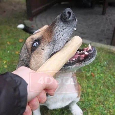 4DOGS Gryzak z drzewa kawowego M-2033325