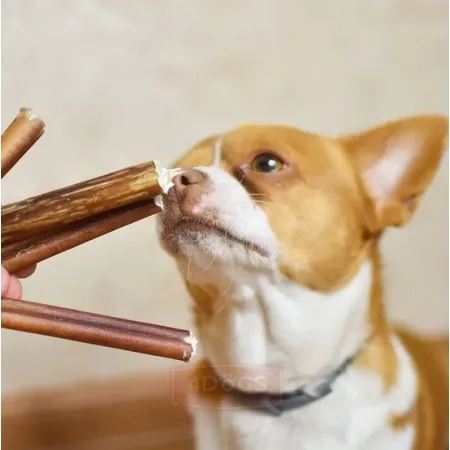 4DOGS Gryzak z penisa wołowego L-2033423