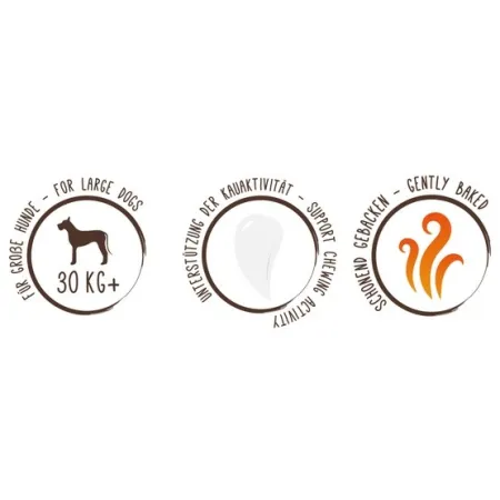 Sammy's Muesli Taler Ciasteczka 1kg-2033463