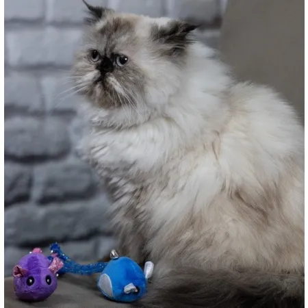 Dingo Zabawka dla kota - Myszki Tota i Upek 2szt-2033683