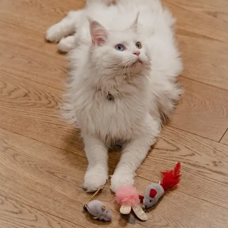 Dingo Zabawka dla kota - Love Myszki z piórkami 2szt-2033685