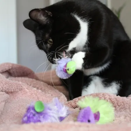 Dingo Zabawka dla kota - Myszki Disco 2szt-2033699