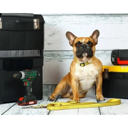 Matteo Obroża Klamra LED 25mm miara-2033771