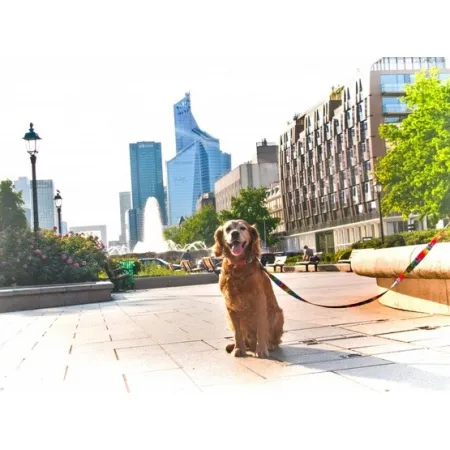 Matteo Smycz Prosta 30mm piksele-2033792