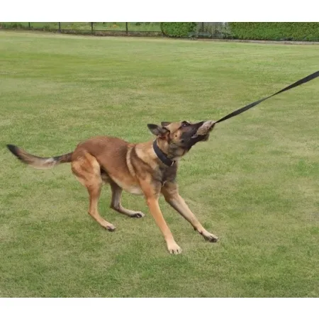 Dingo Zabawka dla psa - Sztuczne Futro z rączką bungee 150cn-2033832