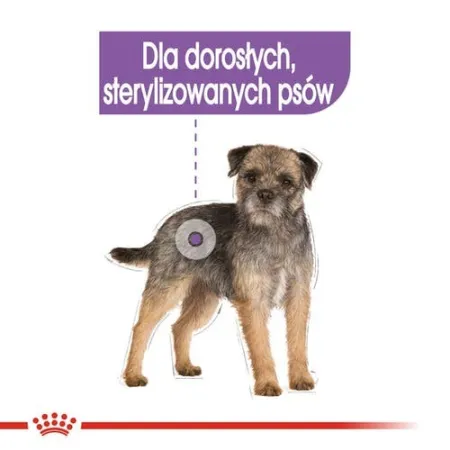 Royal Canin Sterilised karma mokra dla psów dorosłych, wszystkich ras po sterylizacji, pasztet saszetka 85g-2033867