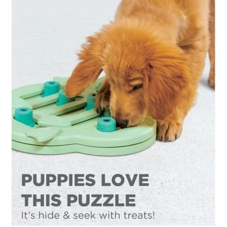 Nina Ottosson Puppy Hide 'N Slide Green - gra edukacyjna [69538]-2033996