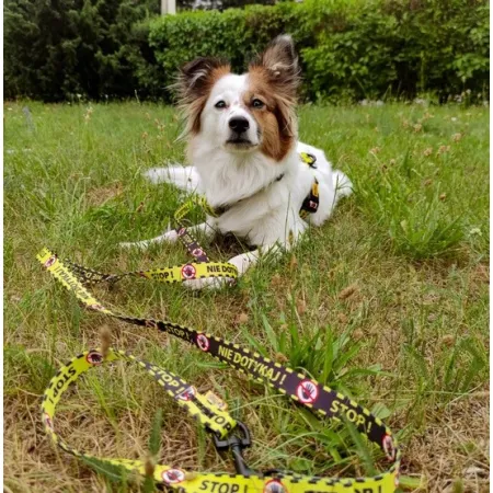 Dingo Smycz przepinana City - Nie Dotykaj 2x220cm-2034025