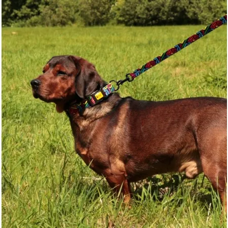 Dingo Smycz przepinana City - Graffiti 3x220cm-2034070