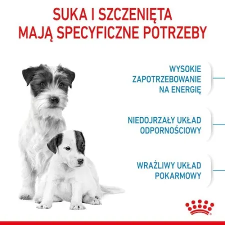 Royal Canin Mini Starter Mother&Babydog karma sucha dla szczeniąt do 2 miesiąca i suk karmiących ras małych 4kg-2034