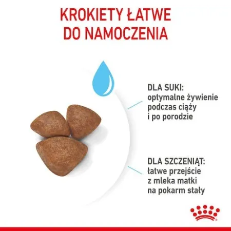 Royal Canin Mini Starter Mother&Babydog karma sucha dla szczeniąt do 2 miesiąca i suk karmiących ras małych 4kg-2034