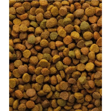 Versele-Laga Oke Cat Classic Variety 10kg-2034229
