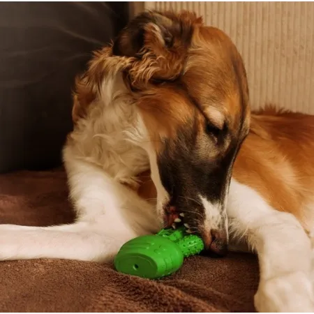 Dingo Zabawka dla psa - Twarda guma TPR - Kaktus 15cm-2034376