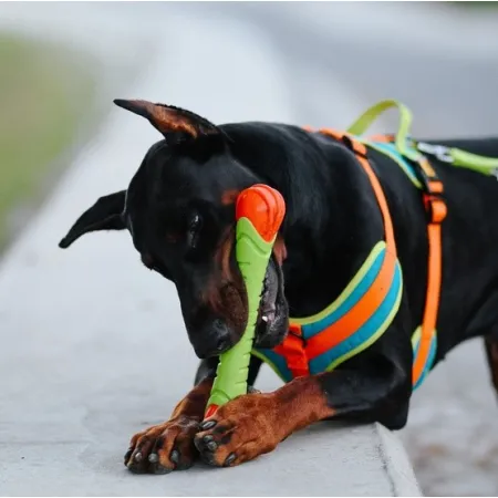 Dingo Zabawka dla psa - Guma TPR - Aport Dent 30cm-2034382