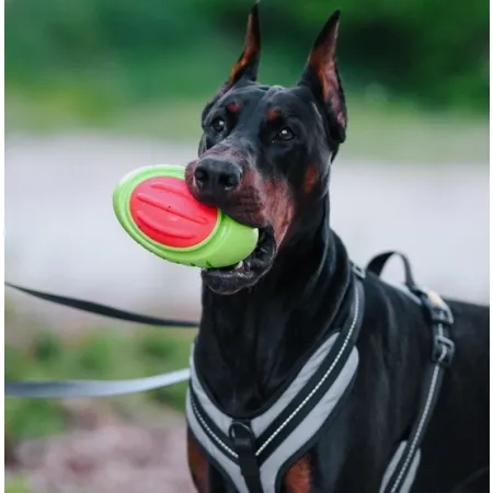 Dingo Zabawka dla psa - Guma TPR - Rugby Dent 17cm-2034392