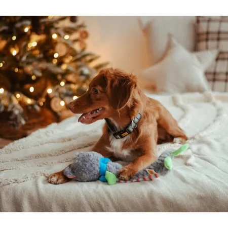 Dingo Zabawka dla psa pluszowa - Miś Yoko 36cm-2034416