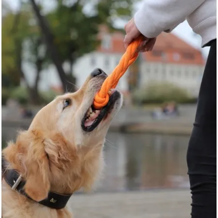 Dingo Zabawka dla psa - Ringo zaplatane Energy 18cm pomarańczowe-2034430