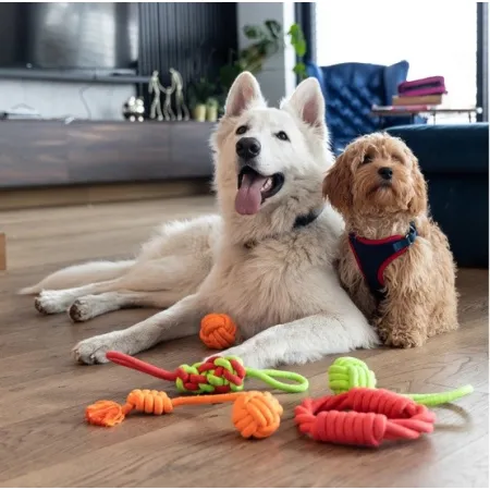 Dingo Zabawka dla psa - Ringo zaplatane Energy 18cm czerwone-2034434