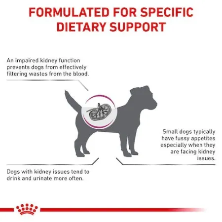 Royal Canin Veterinary Diet Canine Renal Small Dog 500g-2034788