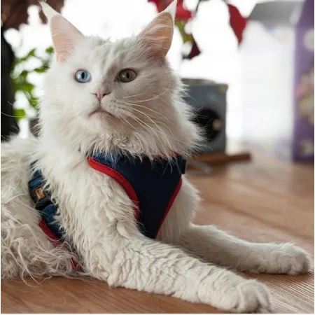 Dingo Szelki bezuciskowe z dwupaskową regulacją M granatowe-2035078