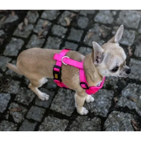 Dingo Szelki bezuciskowe z dwupaskową regulacją M różowe-2035102