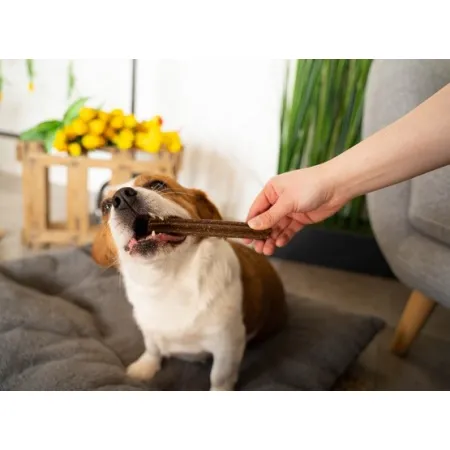 Josera Denties Turkey & Apple 180g-2035380