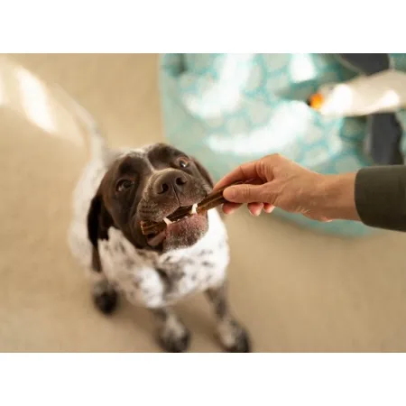 Josera Denties Duck & Carrot 180g-2035384