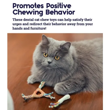 Petstages Gryzaki do higieny zębów kota PS326-2035637