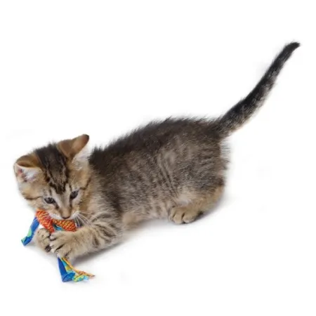 Petstages Gryzaki do higieny zębów kota PS326-2035638