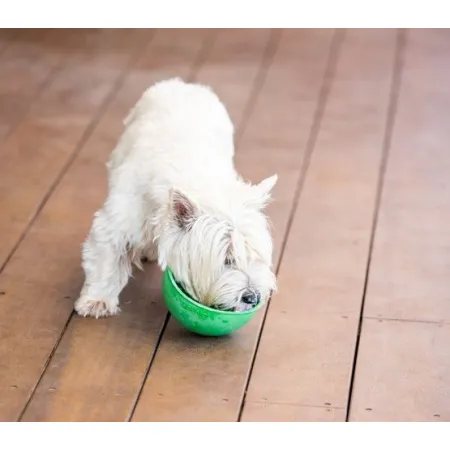 LickiMat Wobble Miska głęboka Jeżyk miękka turkusowa-2035689