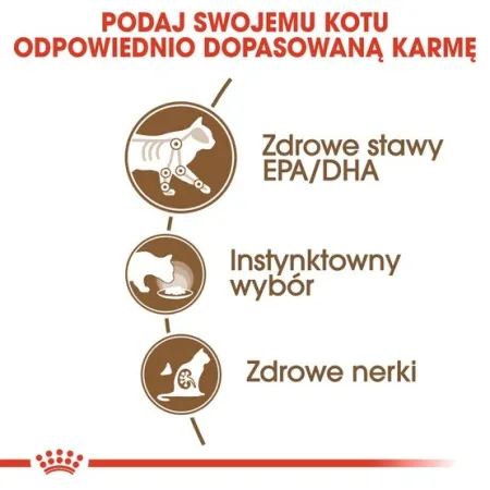 Royal Canin Ageing +12 karma mokra w sosie dla kotów dojrzałych saszetka 85g-2035713