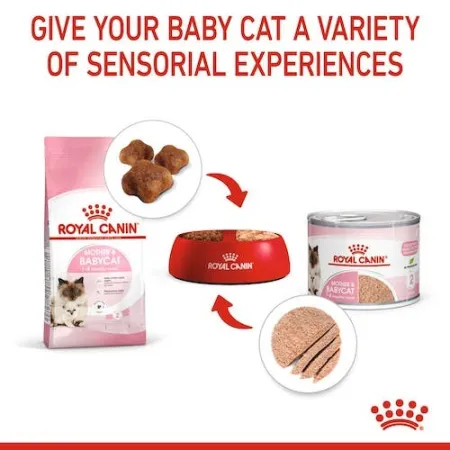 Royal Canin Mother & Babycat Mousse karma mokra - mus dla kociąt i kotek karmiących puszka 195g-2035749