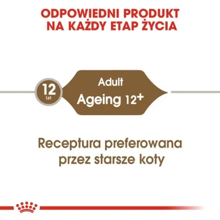 Royal Canin Ageing +12 karma mokra w galaretce dla kotów dojrzałych saszetka 85g-2035754